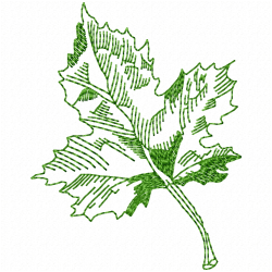 Leaves Embroidery Design 2 Leaves Embroidery Design 2